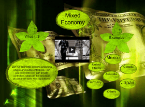 Mixed Economy